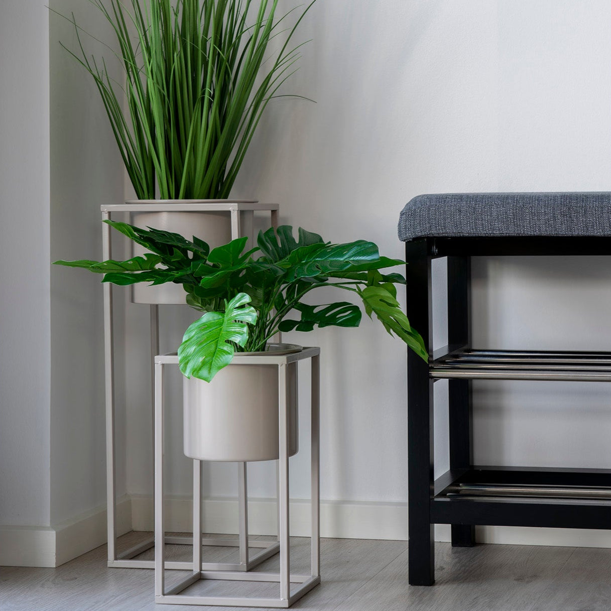 Banc Padova