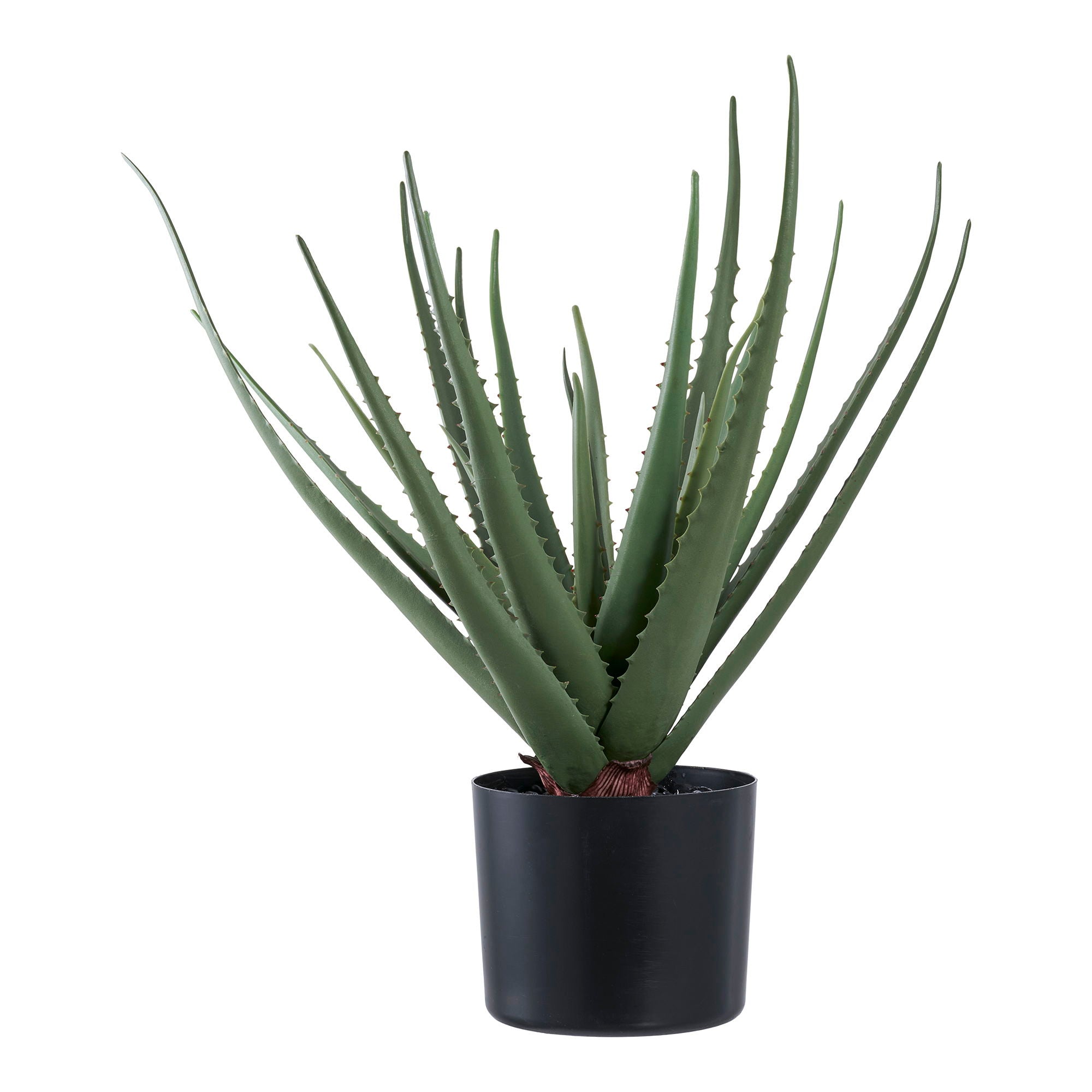 Aloe vera artificiel
