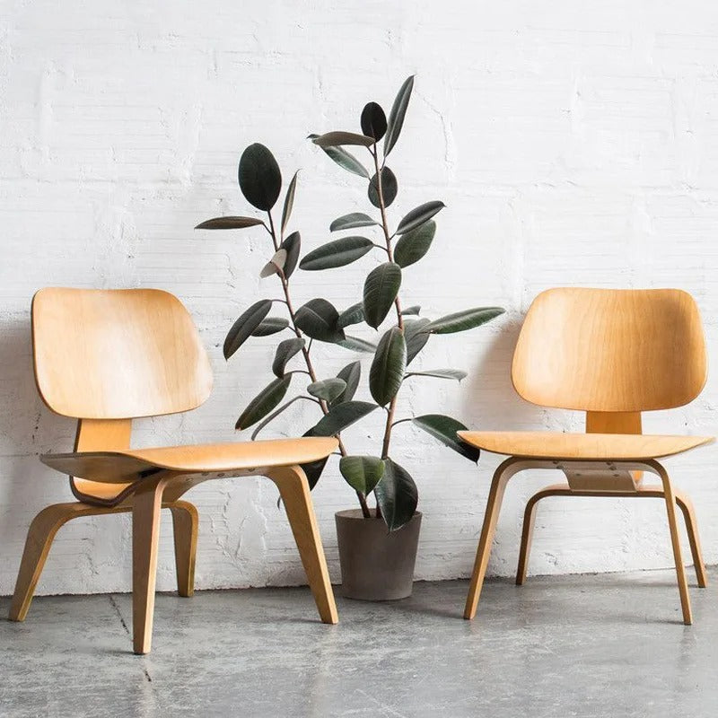 Chaise basse design en bois courbé